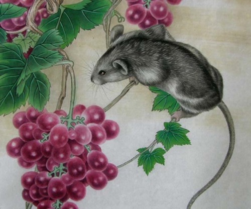 十二生肖鼠最佳情感伴侣