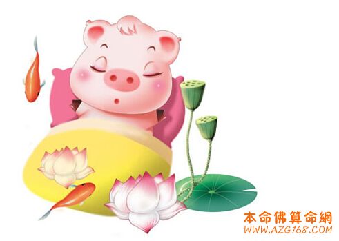 属猪的几月出生财运旺