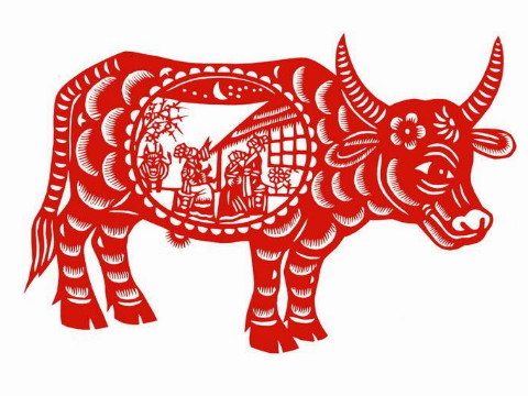 牛年男人穿什么好