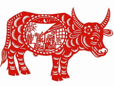 1985年出生的人命运如何