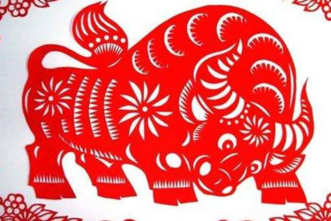 2020年最红火的属有哪些？