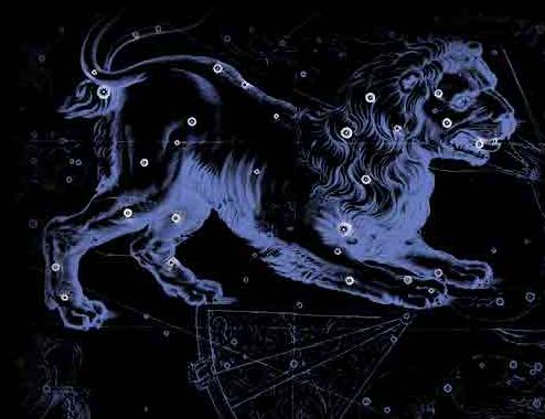 水瓶座遇见狮子座