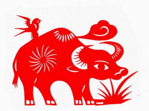 2021年，是牛人招桃花的最佳方式