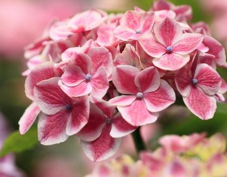 30个名字和数字的吉凶