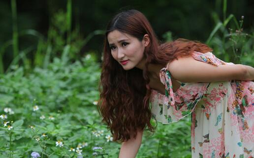 阳历11月8日是什么星座