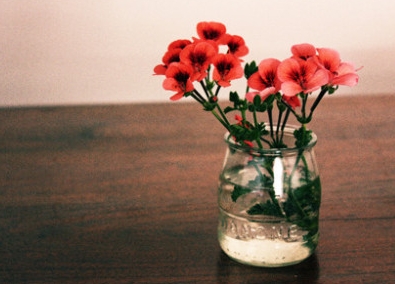 补“知字子气问”