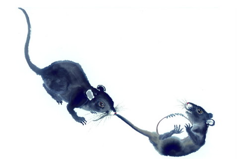 典型的十二生肖女人在诡计多端的婊子