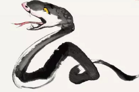 十二生肖可以慈善惠泽子孙