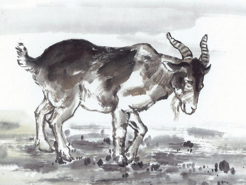 2021年，最严重的生肖犯了