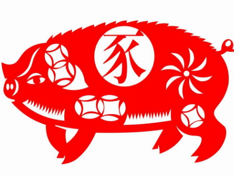 1995年属猪最佳婚配 95年属猪上等婚配属相