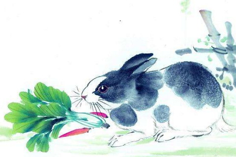 性情温和的生肖