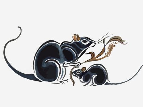 2021年上半年老鼠的爱情运势如何