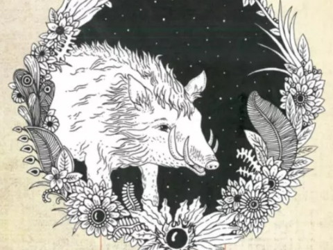 2021年猪穿什么压岁钱