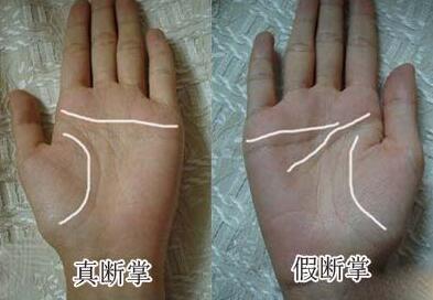 假掌纹图