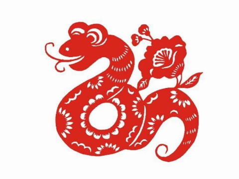 嫁给蛇和马好吗