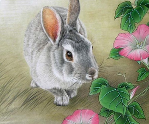 十二生肖兔最佳情感伴侣