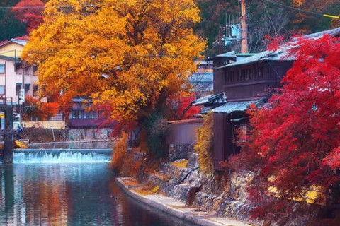 晚婚，但是好的婚姻