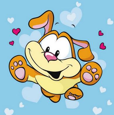 公狗的最佳搭配是什么