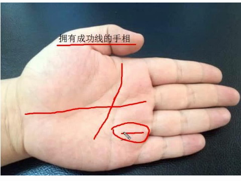 手掌成功线比情感线长代表什么