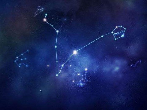 出轨概率最高的星座女