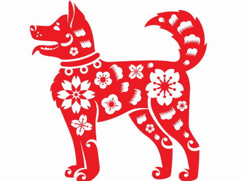 82属狗未来5年运势如何