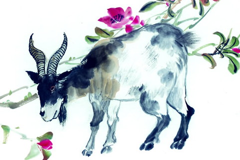 超级迷恋的生肖男