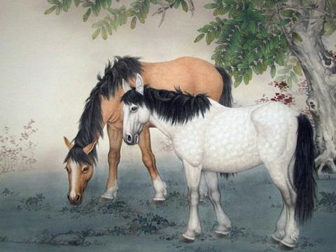 属于马姑娘的性格和爱情观