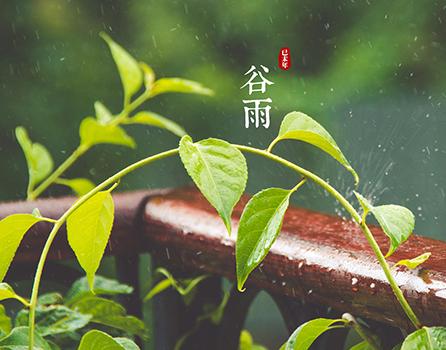 《谷雨》节气知识