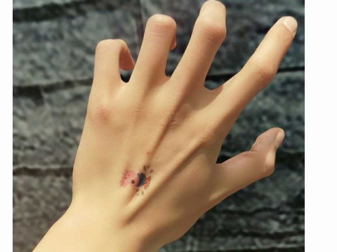 恶业的手掌是什么样子的？恶业的手掌特征