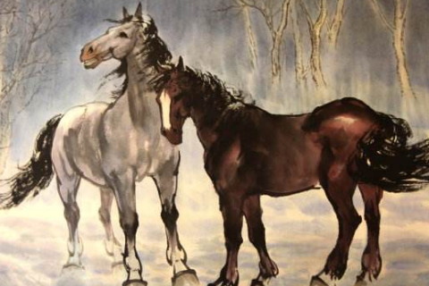 粗心大意的生肖