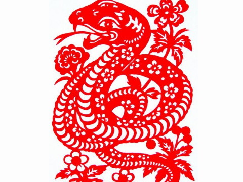 蛇是什么时候出生的？