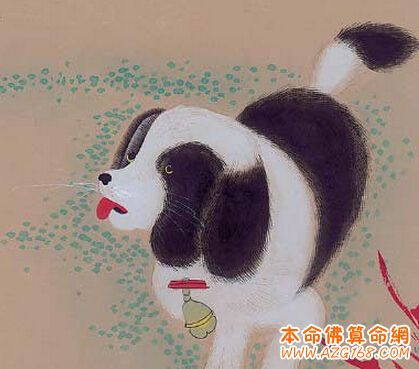 属狗的几月出生最好