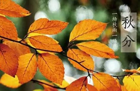 秋分节气知识