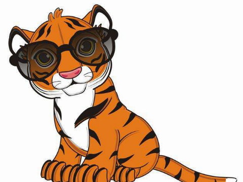 86年虎女婚姻坎坷吗？这是86年一个虎女的性格