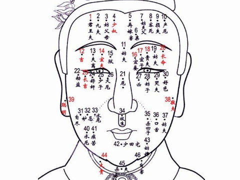 青梅是丰富的，青梅代表丰富的青梅图