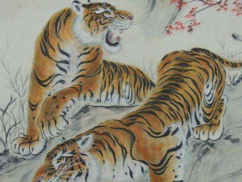 2021年，是虎年运势。老虎在向哪个方向寻求好运？