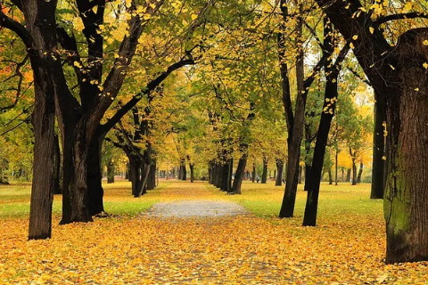 什么是八字财富，什么是八字财富