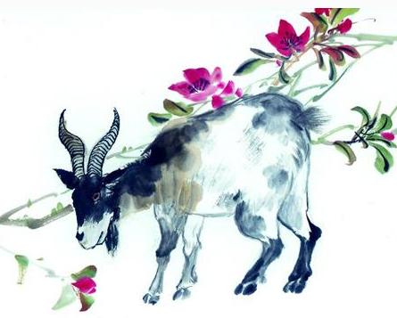 生肖羊配对大全