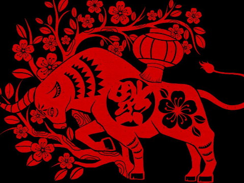 当一头牛和龙不能让牛男和一个龙女相配时会发生什么