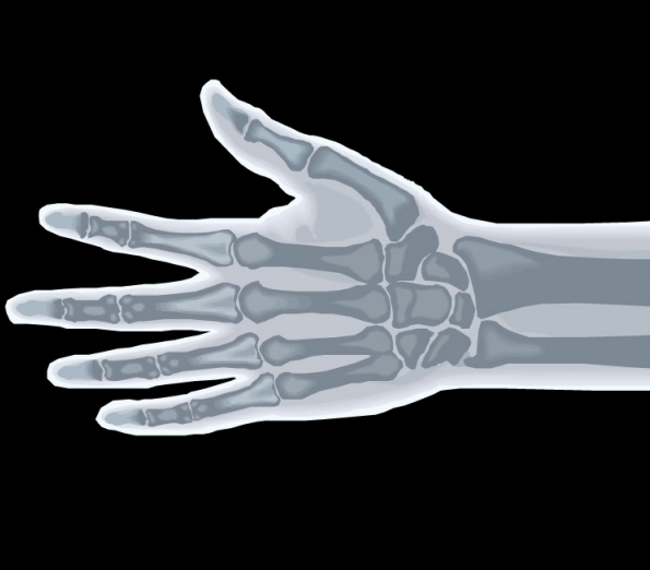 完整的手骨相学知识