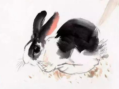 兔子会避开什么样的父母