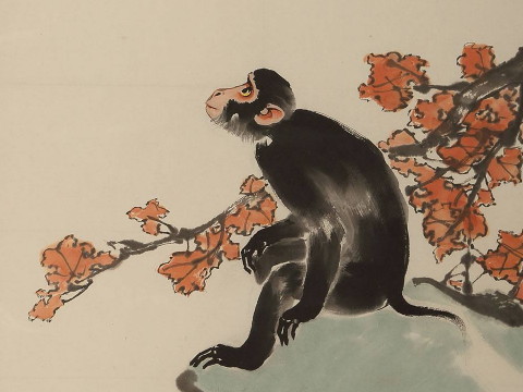 2016年2021年猴子的幸运色是什么