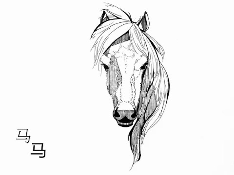 中午出生的男孩命运如何