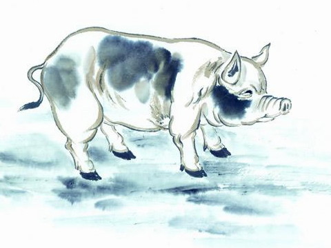 一个男孩的命运是在他还是猪的时候出生的吗？