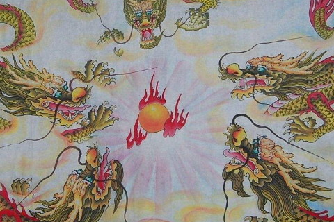 2020年必须生孩子的生肖