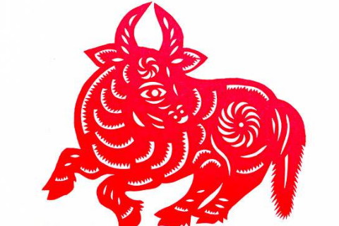 2020年最红火的生肖