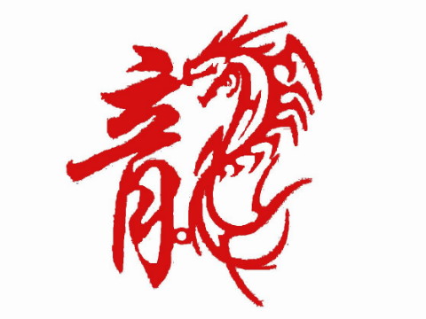 2000年是陇南一生的命运