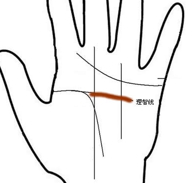 生命线智慧线相交