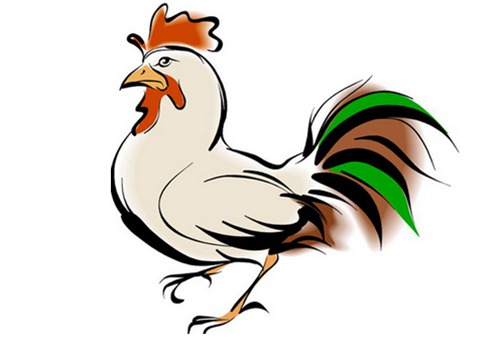 2017年这几个方位煞气重，需要小心应对