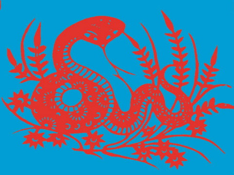 哪一年出生的蛇生活得最好